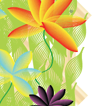 Plants: image 4 0f 4 thumb